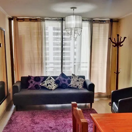 Arriendo Departamento A Turistas En Santiago Apartment